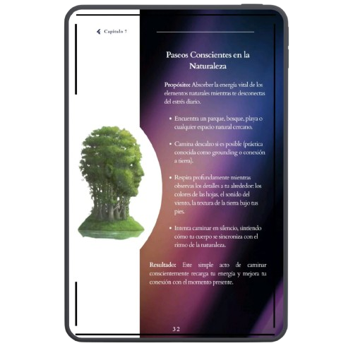 0.-Mockup-Libro-Por-Dentro-6-1